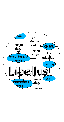 Libellus